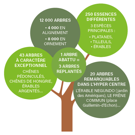 Infographie présentation des espaces verts 