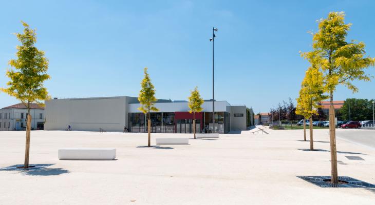 Parvis du cinéma Apollo 8