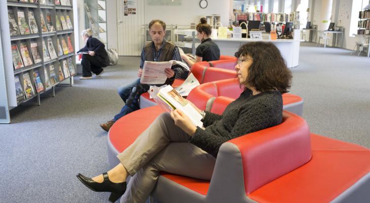 Coin lecture de l'espace adulte