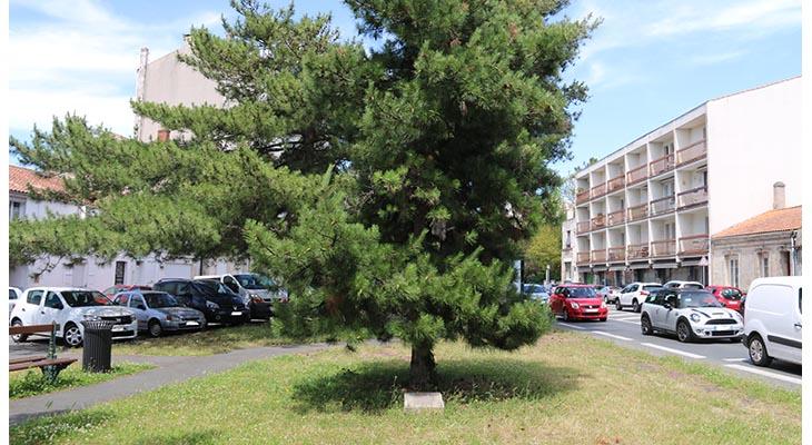 la plaque dans son environnement