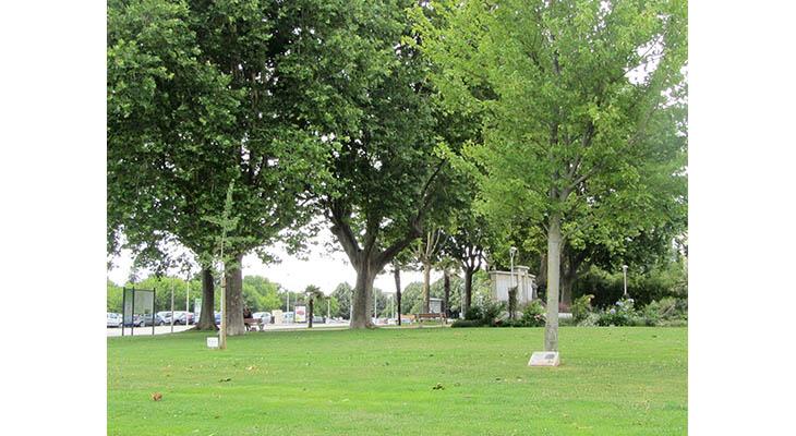 la plaque dans son environnement