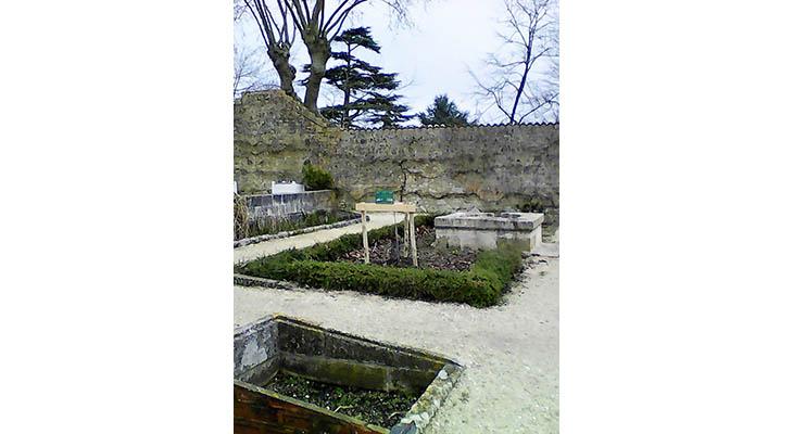 la plaque dans son environnement