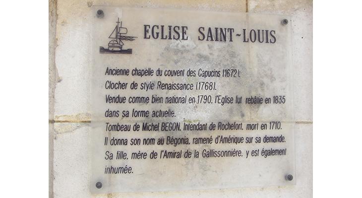 plaque