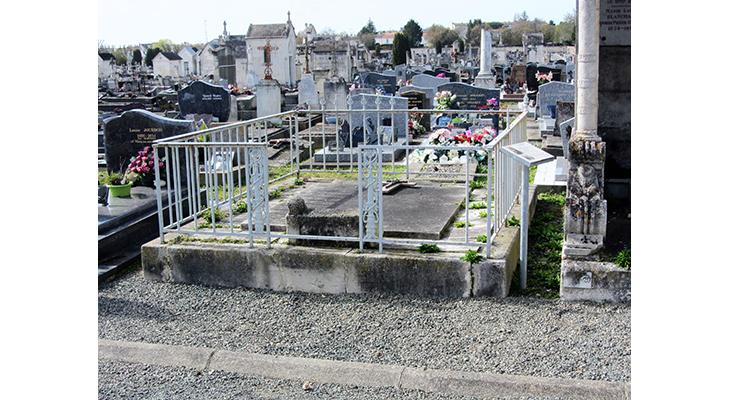 plaque dans son environnement