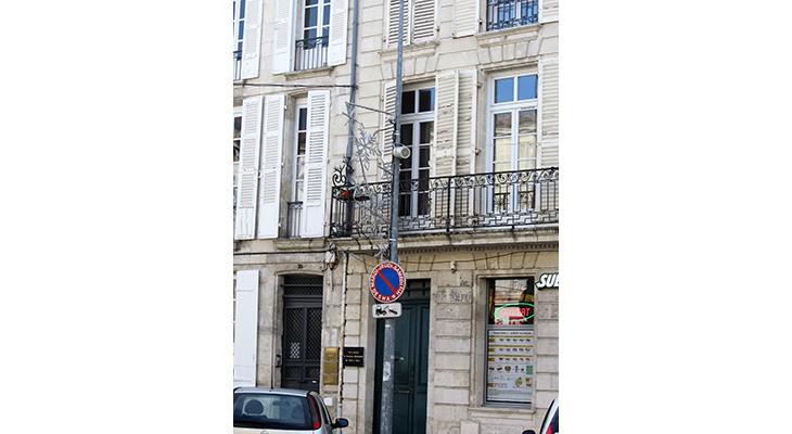 plaque dans son environnement