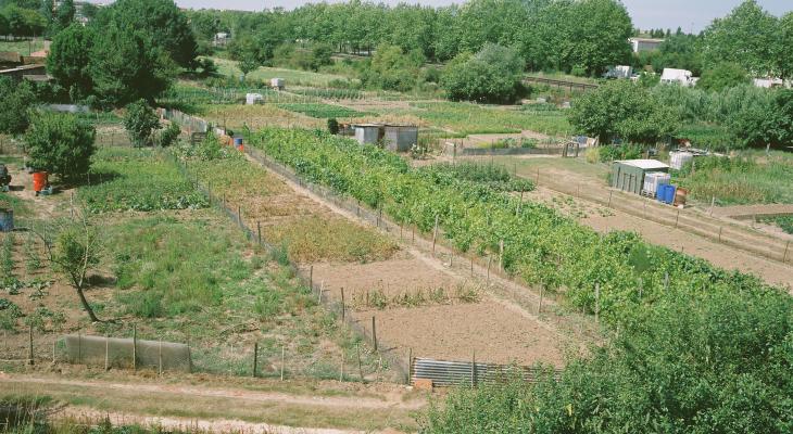 Avenue Aigrefeuille 2009