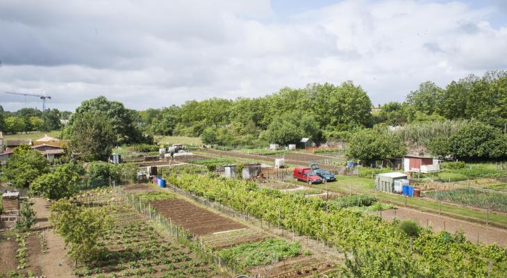 Avenue Aigrefeuille 2014
