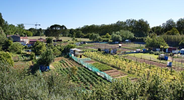 Avenue Aigrefeuille 2019