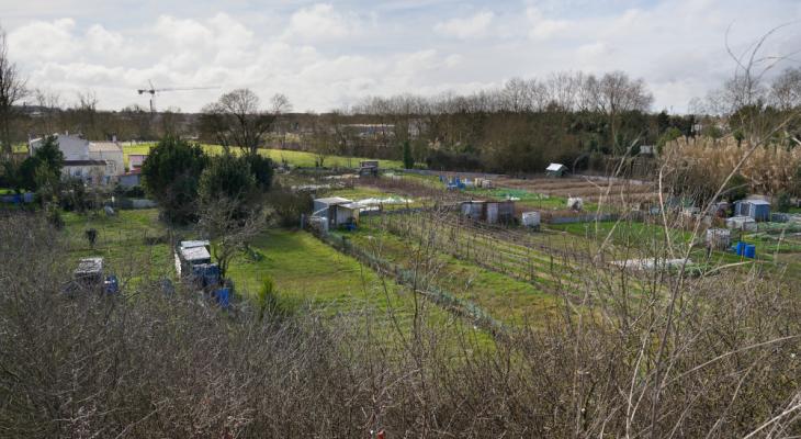 Avenue Aigrefeuille 2025