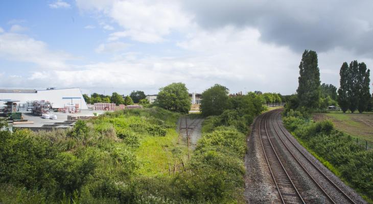Avenue Aigrefeuille 2014