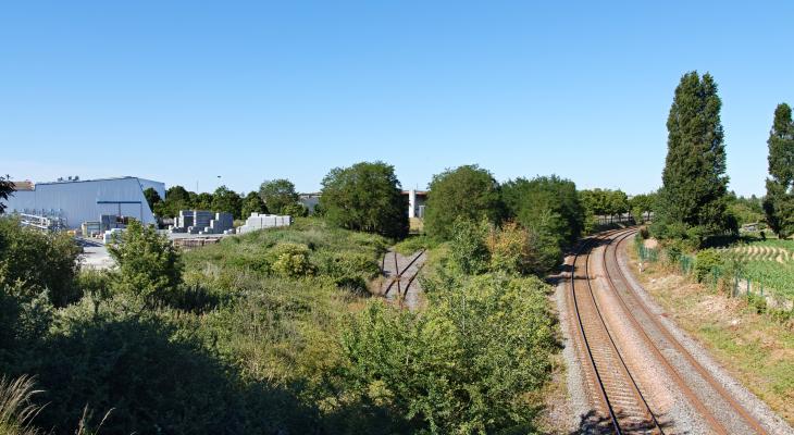 Avenue Aigrefeuille 2019