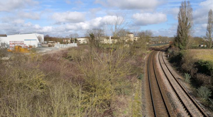 Avenue Aigrefeuille 2025