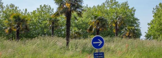 Rond point du Brillouet avant les travaux ©Simon David _ Caro