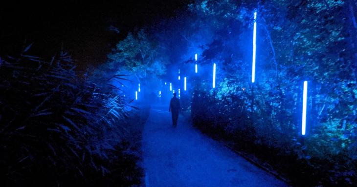 Oceana Lumina ©NC_Caro