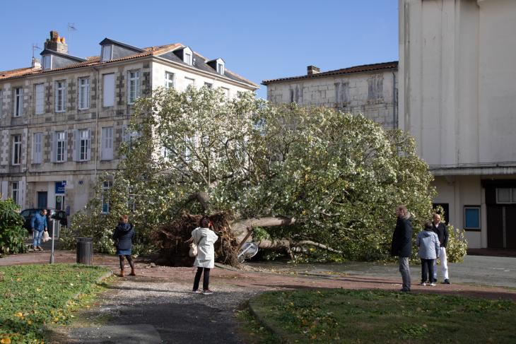 Tempete Domingos à Rochefort