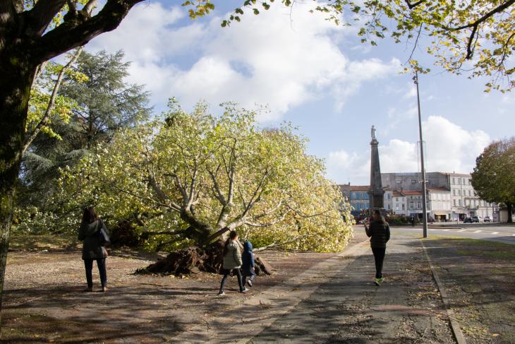 Tempete Domingos à Rochefort