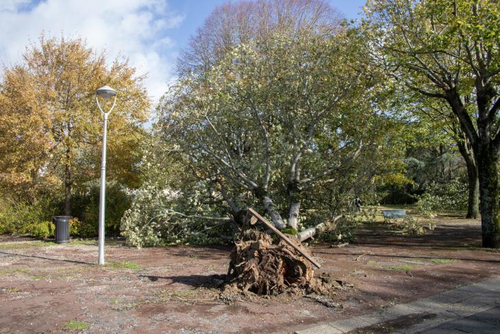 Tempete Domingos à Rochefort