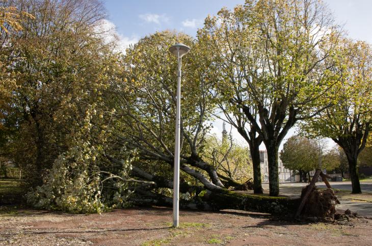 Tempete Domingos à Rochefort