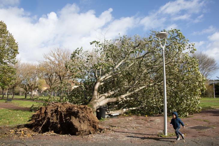 Tempete Domingos à Rochefort