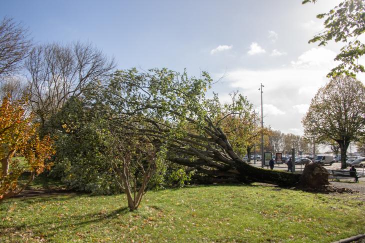 Tempete Domingos à Rochefort