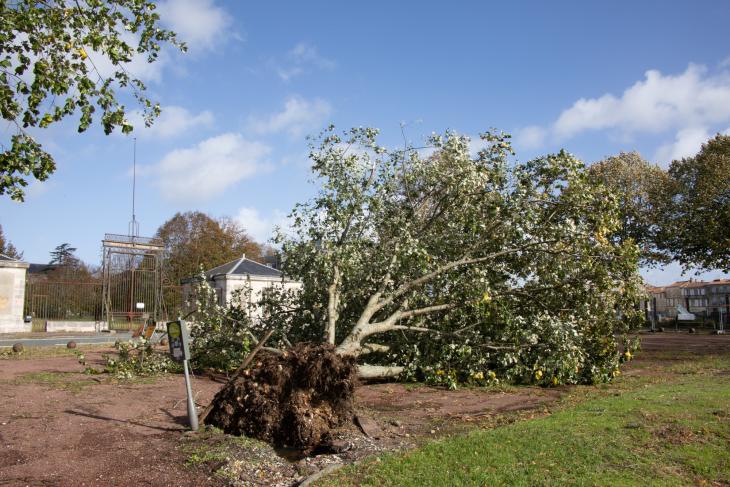 Tempete Domingos à Rochefort