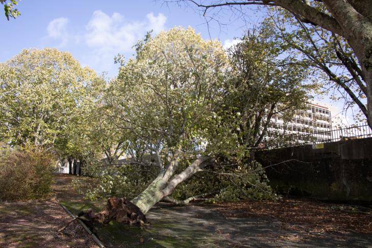 Tempete Domingos à Rochefort