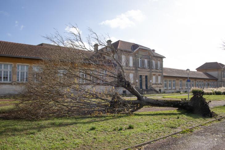 Tempete Domingos à Rochefort