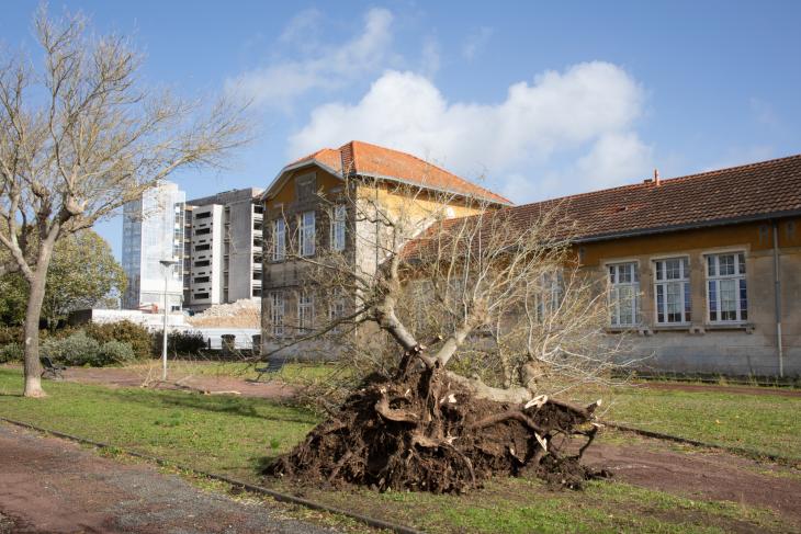 Tempete Domingos à Rochefort