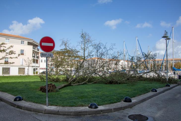 Tempete Domingos à Rochefort