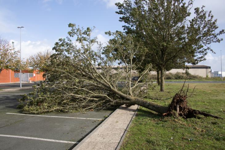 Tempete Domingos à Rochefort