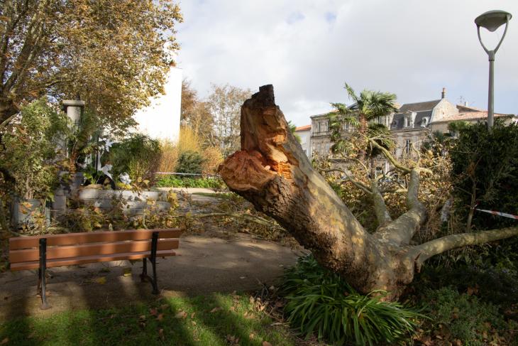 Tempete Domingos à Rochefort