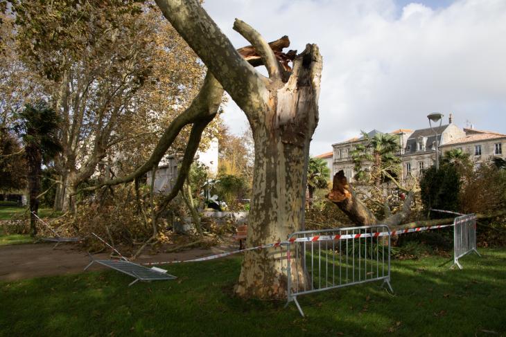 Tempete Domingos à Rochefort