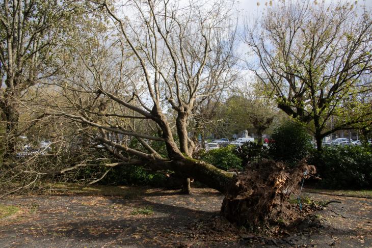 Tempete Domingos à Rochefort