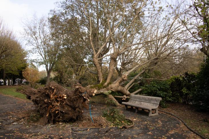 Tempete Domingos à Rochefort