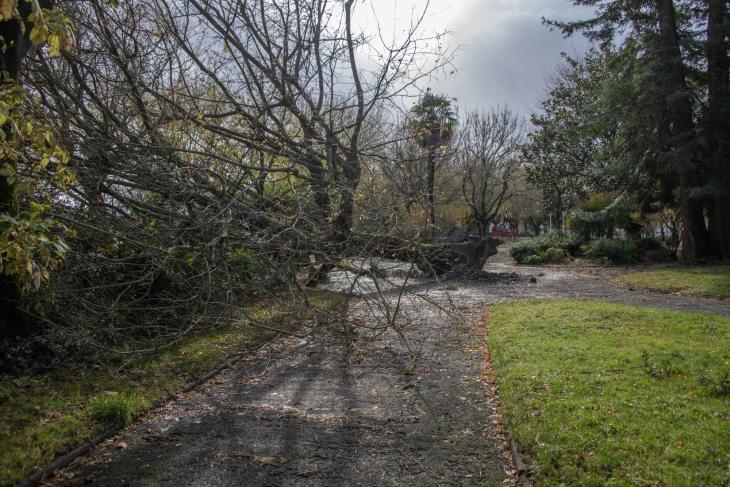 Tempete Domingos à Rochefort