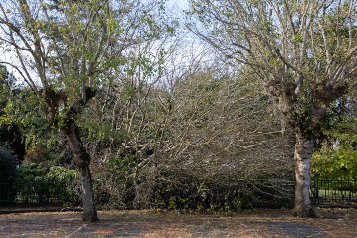 Tempete Domingos à Rochefort