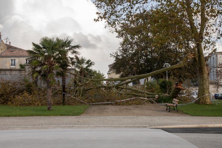 Tempete Domingos à Rochefort