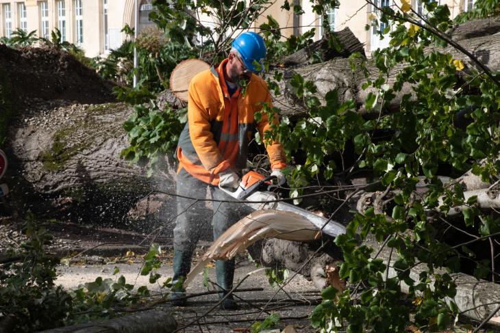 Tempete Domingos à Rochefort