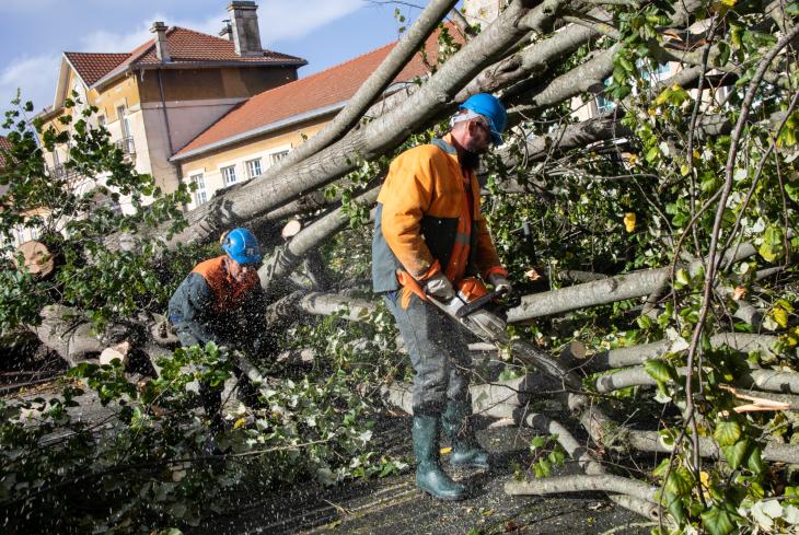 Tempete Domingos à Rochefort