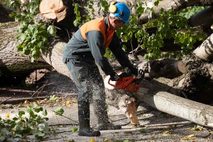 Tempete Domingos à Rochefort