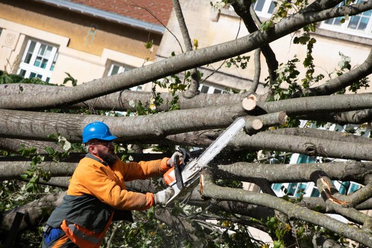 Tempete Domingos à Rochefort