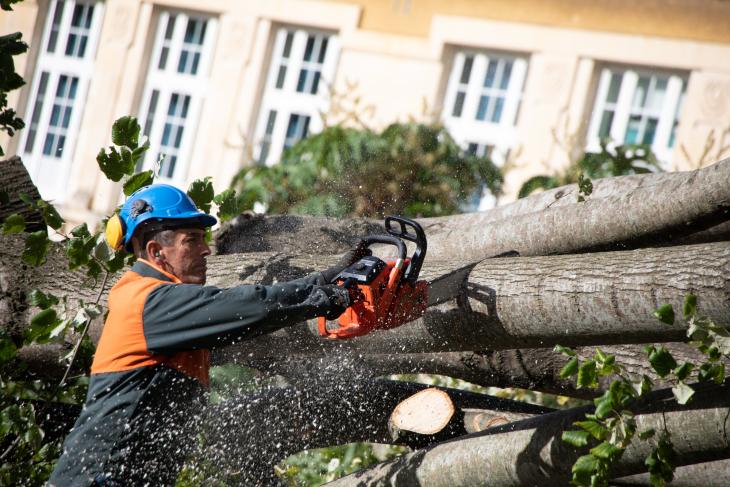Tempete Domingos à Rochefort