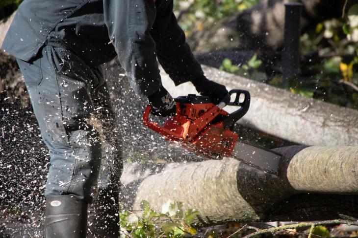 Tempete Domingos à Rochefort