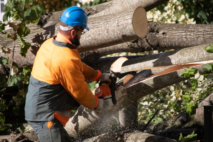 Tempete Domingos à Rochefort