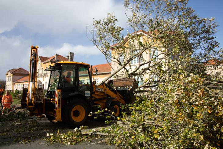 Tempete Domingos à Rochefort