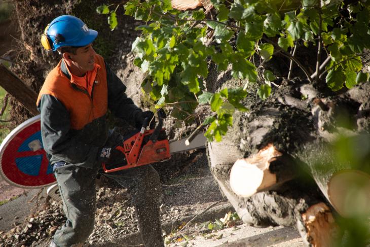 Tempete Domingos à Rochefort