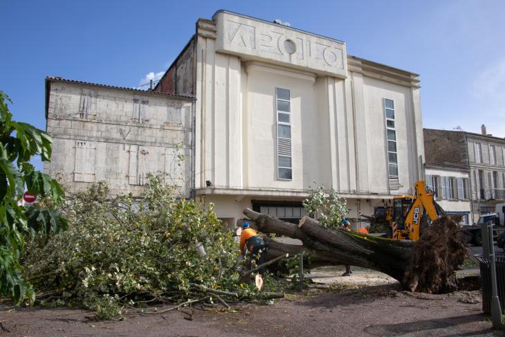Tempete Domingos à Rochefort