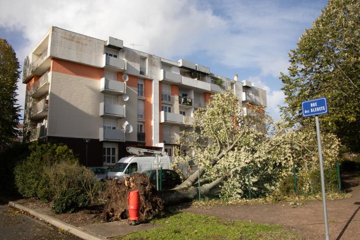 Tempete Domingos à Rochefort
