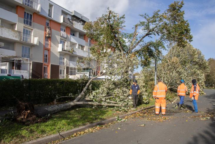 Tempete Domingos à Rochefort