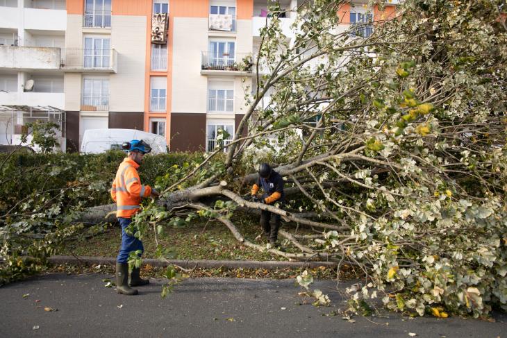 Tempete Domingos à Rochefort